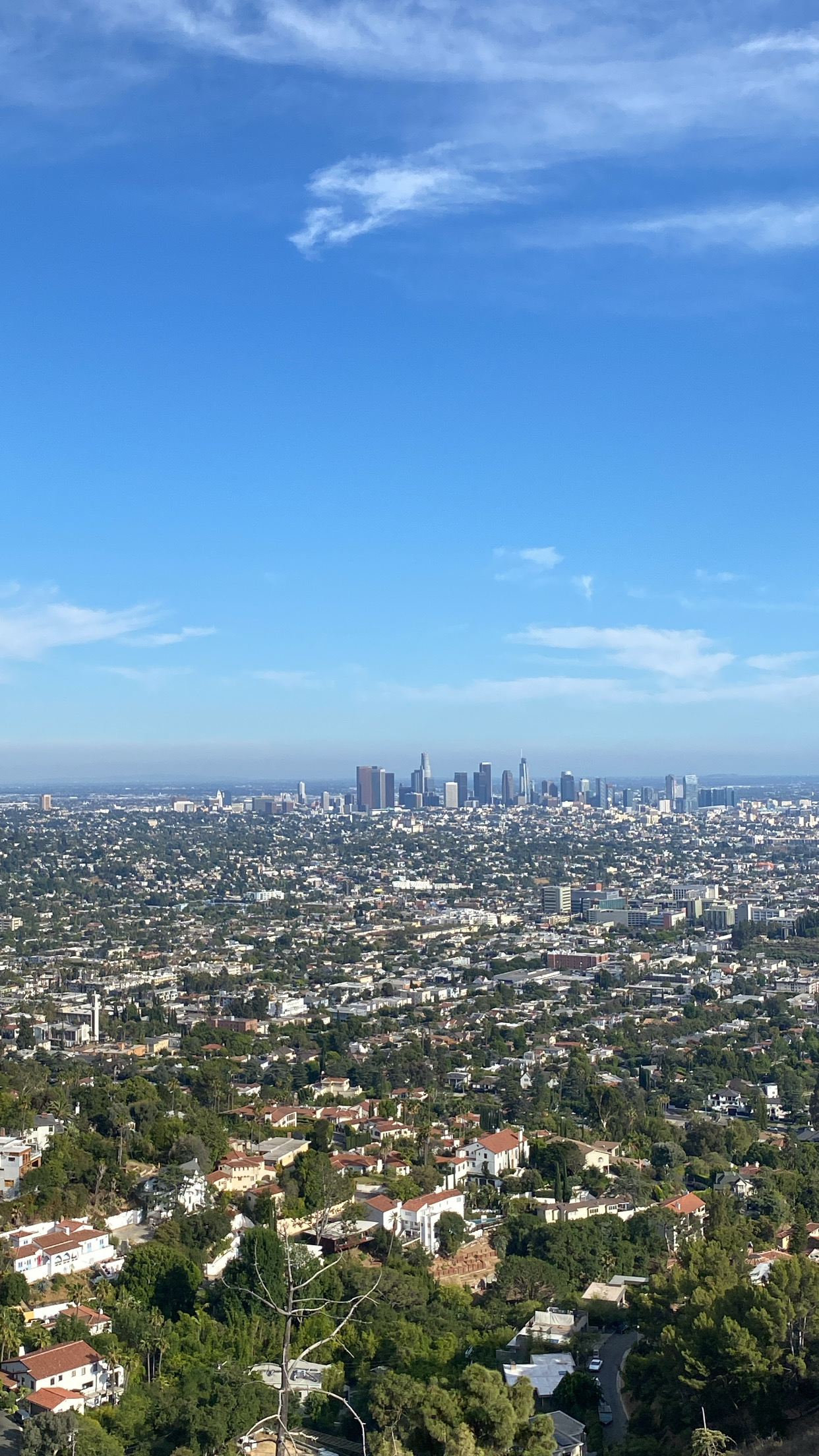 Griffith Observatory in Los Angeles