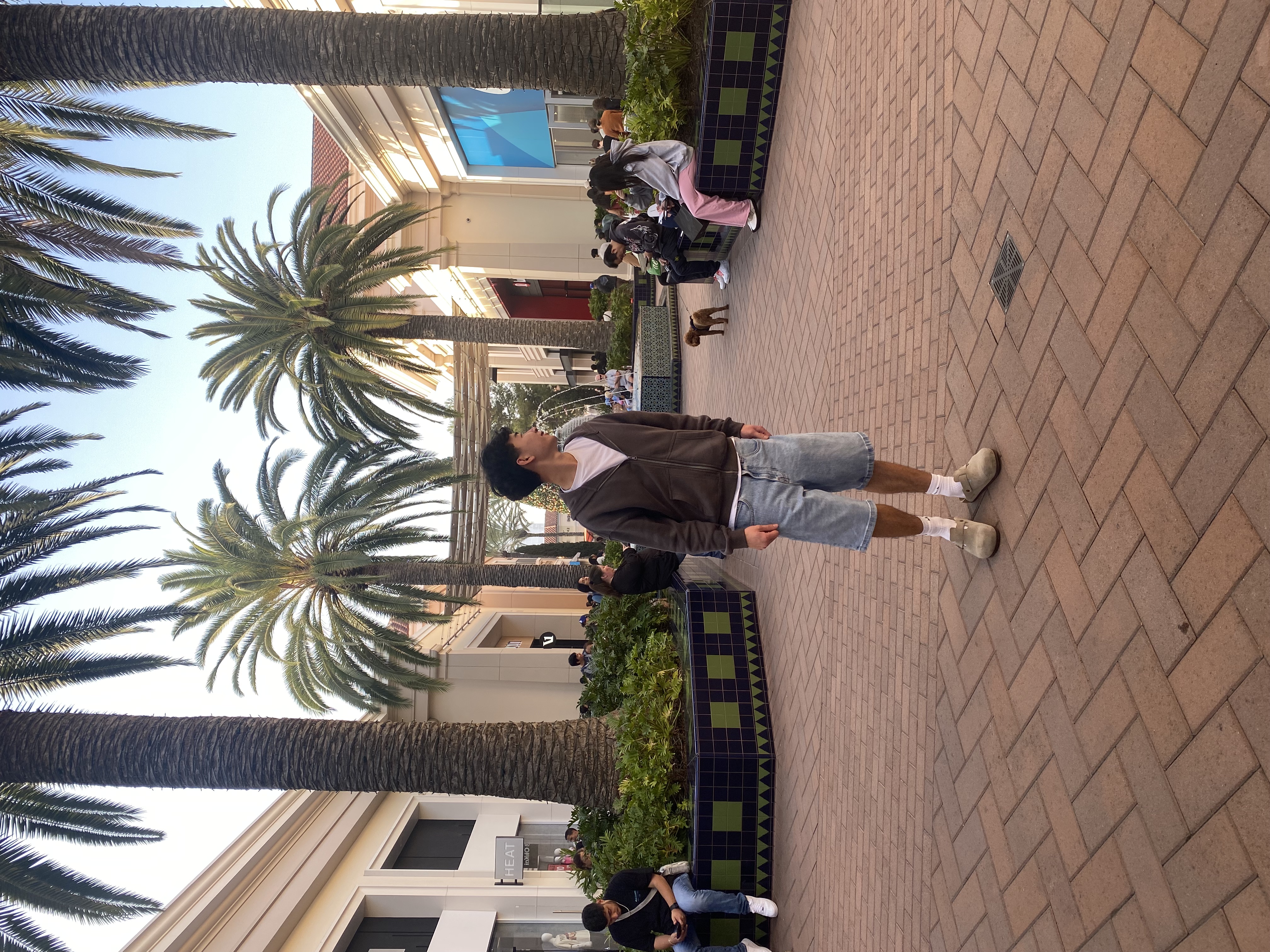 Picture of Pitu in California